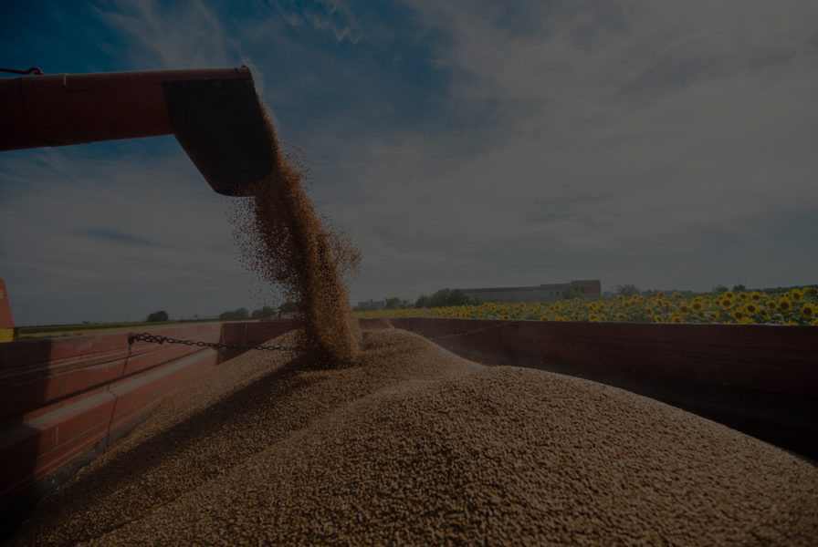 Artesia - Seraing, Liège - Belgium: Our customers: Food industry